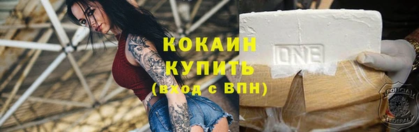 твердый Аркадак