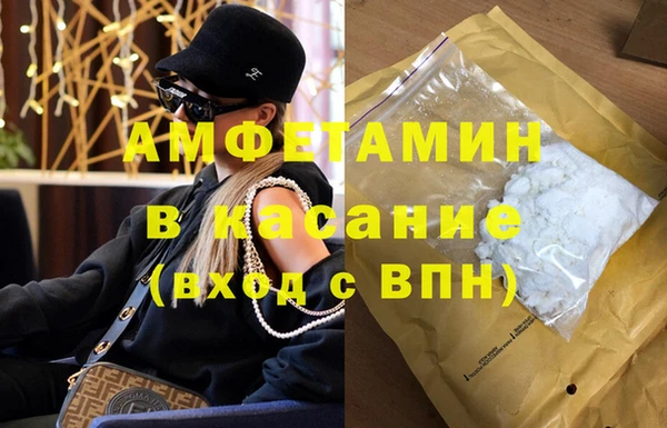 твердый Аркадак