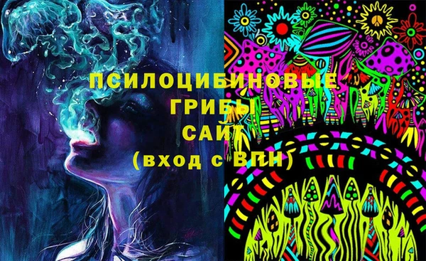 твердый Аркадак