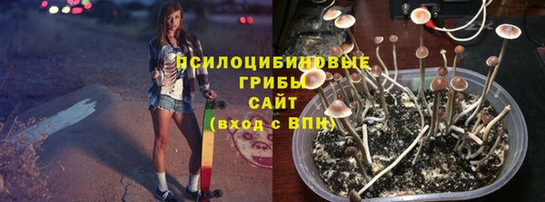 твердый Аркадак