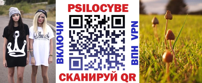 Галлюциногенные грибы Cubensis Пустошка
